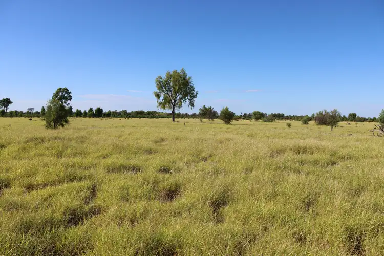 Third view of Homely rural property listing, 2926 Quilpie Highway, Charleville QLD 4470