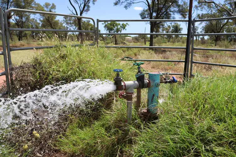 Fourth view of Homely rural property listing, 2926 Quilpie Highway, Charleville QLD 4470