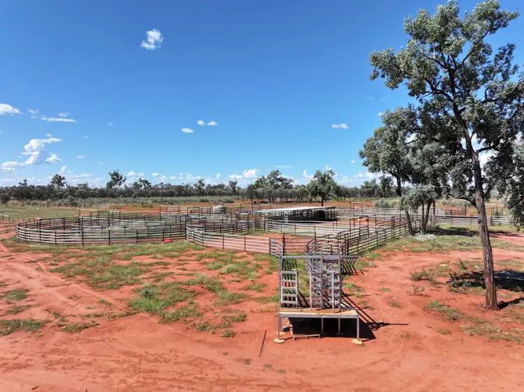 Sixth view of Homely rural property listing, 2926 Quilpie Highway, Charleville QLD 4470