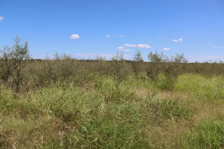 Seventh view of Homely rural property listing, 2926 Quilpie Highway, Charleville QLD 4470