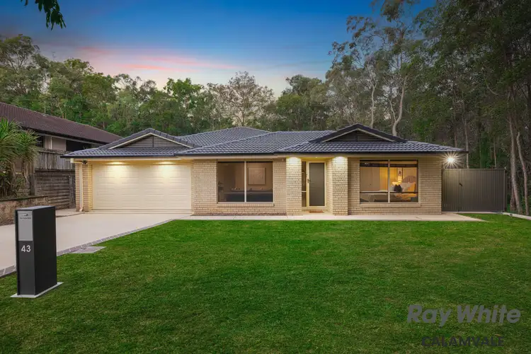 43 Wilkins Place, Drewvale QLD 4116