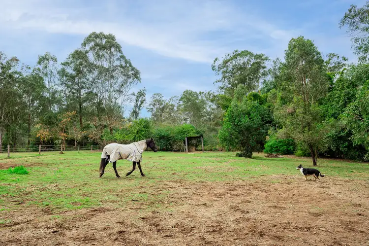 Second view of Homely house listing, 82-88 Sharon Drive, North Maclean QLD 4280