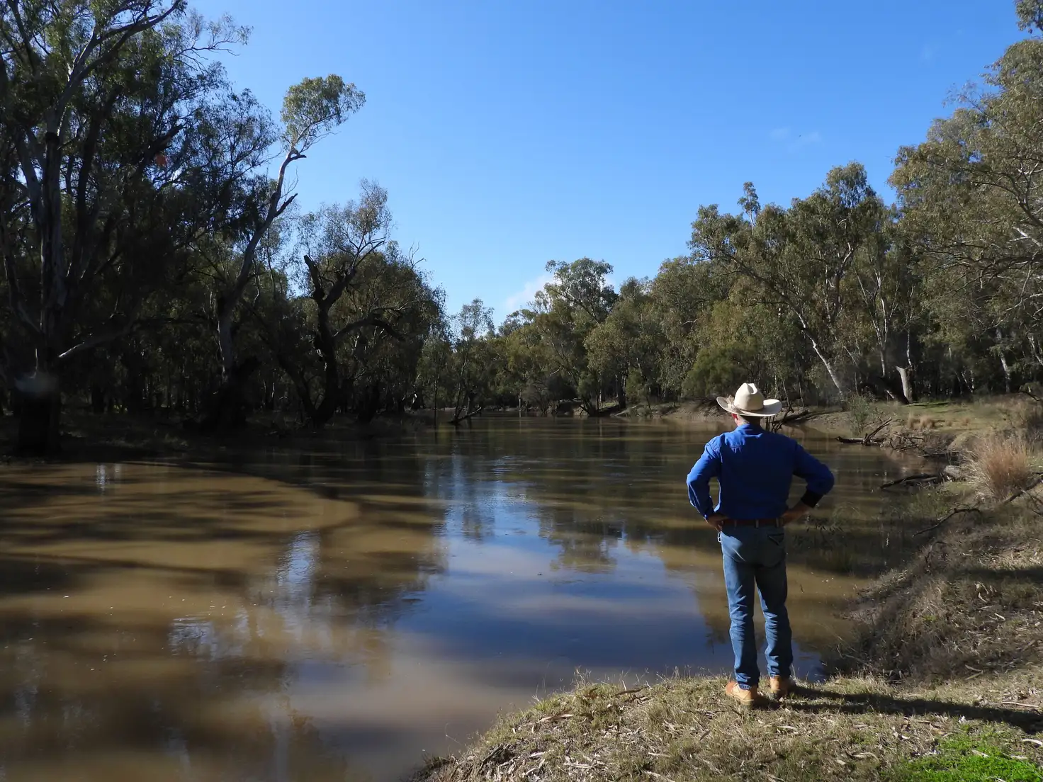 Main view of Homely rural property listing, 4546 Lachlan Valley Way, Wallanthery NSW 2675