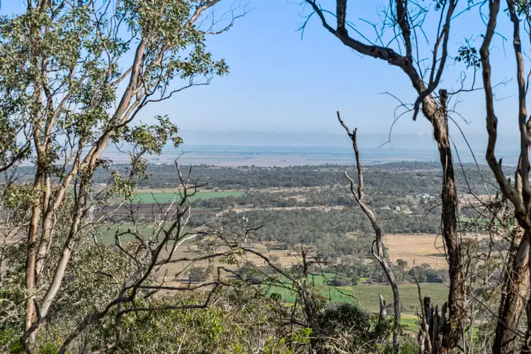 390 Wyangapinni Road, Stoneleigh QLD 4356