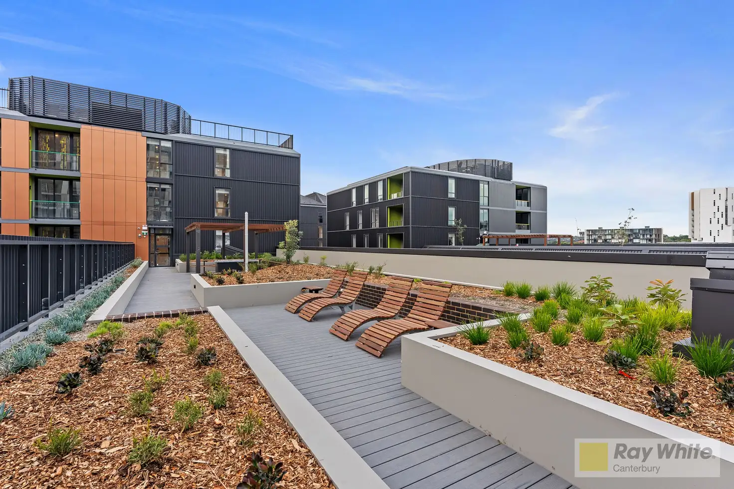 Main view of Homely apartment listing, 444/7-9 Letitia Street, Zetland NSW 2017