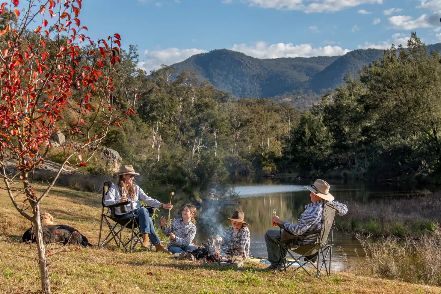 Main view of Homely rural property listing, 2339 Rivertree Road, Rivertree NSW 2372