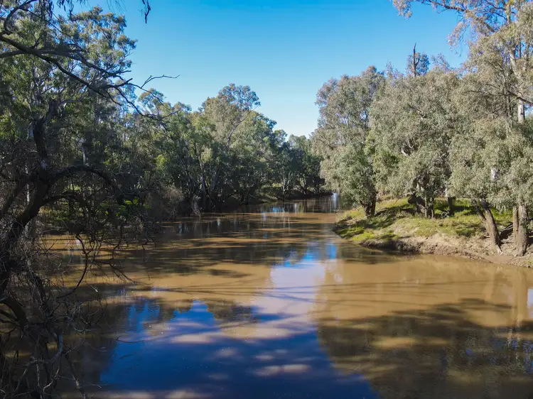 Third view of Homely rural property listing, 11009 The Escort Way, Forbes NSW 2871