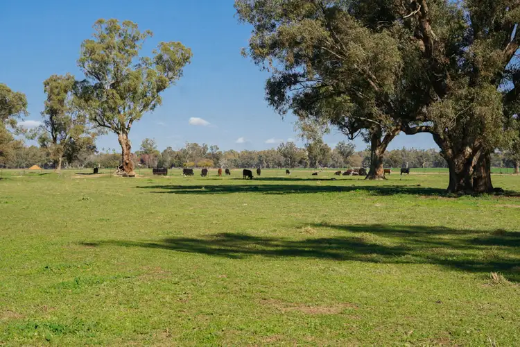Fourth view of Homely rural property listing, 11009 The Escort Way, Forbes NSW 2871