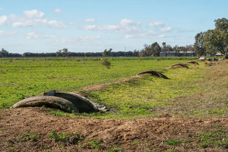 Fifth view of Homely rural property listing, 11009 The Escort Way, Forbes NSW 2871