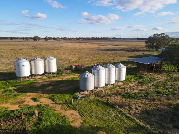 Sixth view of Homely rural property listing, 11009 The Escort Way, Forbes NSW 2871