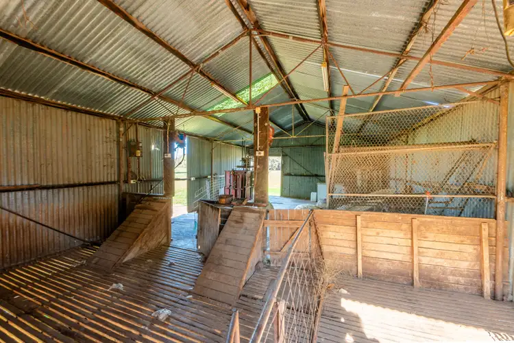 Seventh view of Homely rural property listing, 11009 The Escort Way, Forbes NSW 2871