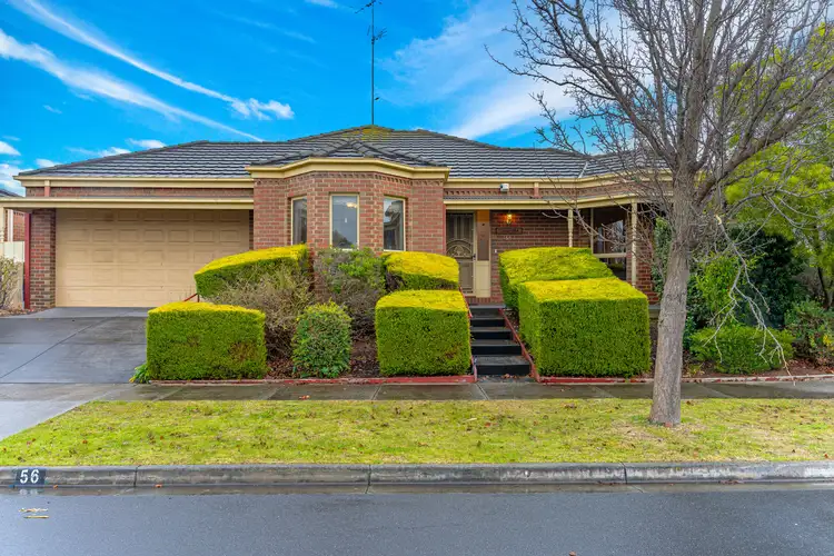 56 Augustine Drive, Highton VIC 3216