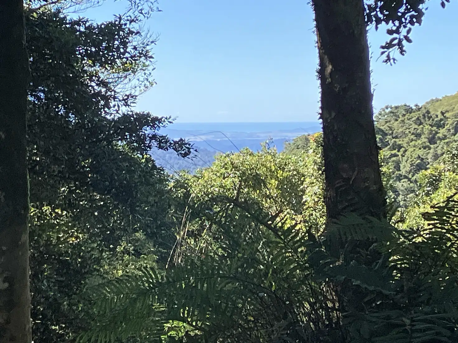 Main view of Homely rural property listing, Address available on request