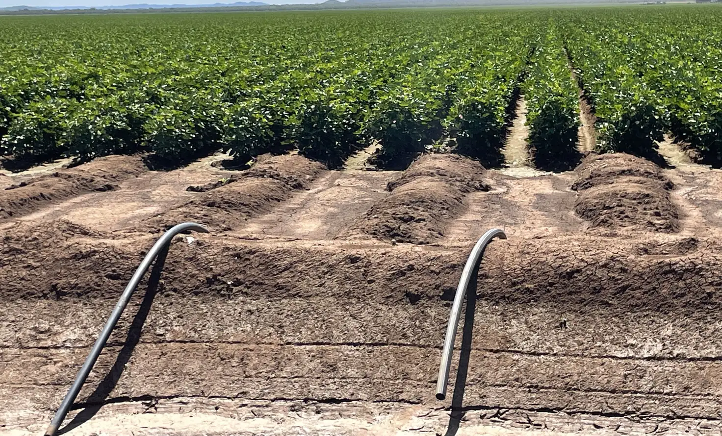 Main view of Homely rural property listing, Address available on request