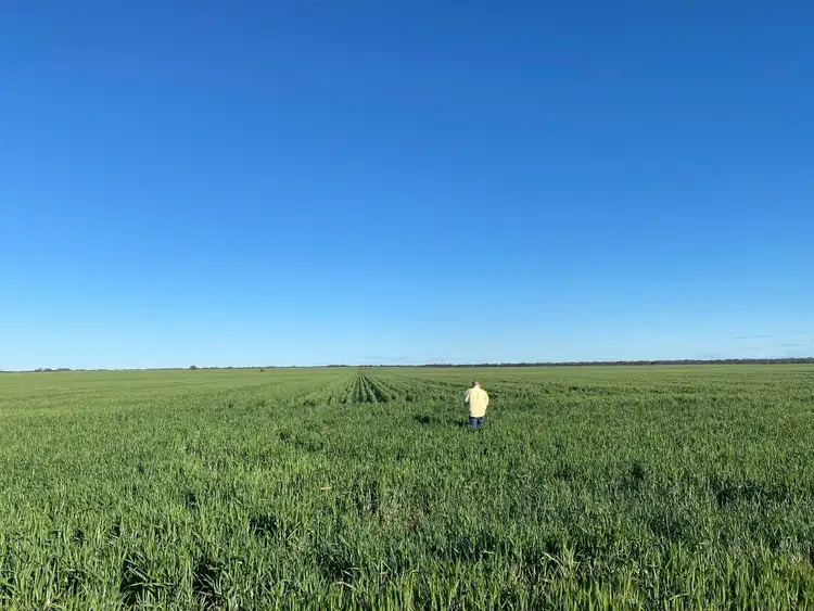 Second view of Homely rural property listing, Glenroy 4938 Peisley Road, Nyngan NSW 2825