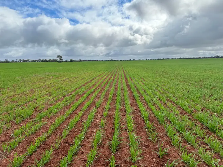 Third view of Homely rural property listing, Glenroy 4938 Peisley Road, Nyngan NSW 2825