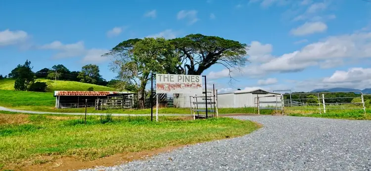 1297 Mossman - Mt Molloy Road, Julatten QLD 4871
