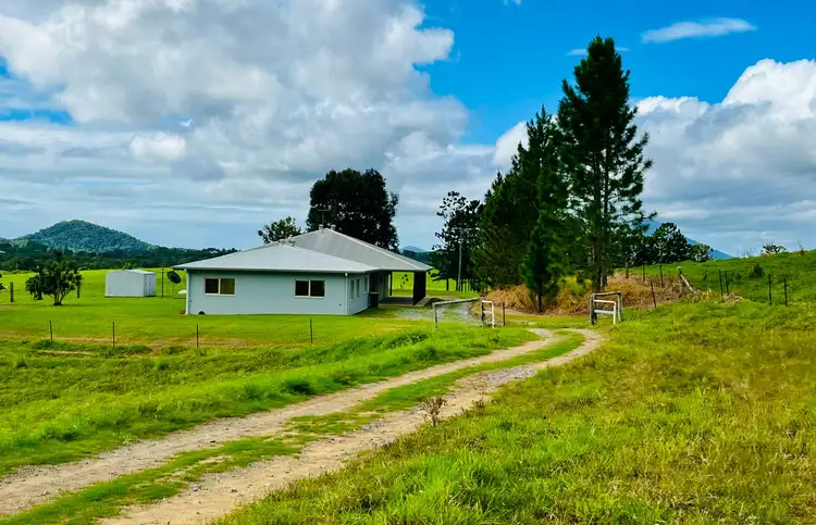 Second view of Homely rural property listing, 1297 Mossman - Mt Molloy Road, Julatten QLD 4871
