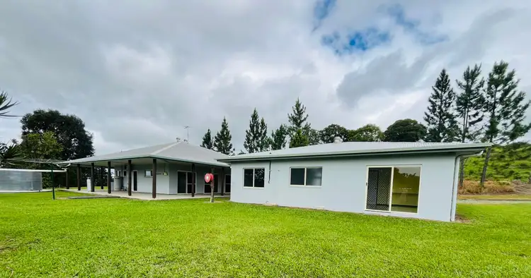 Third view of Homely rural property listing, 1297 Mossman - Mt Molloy Road, Julatten QLD 4871