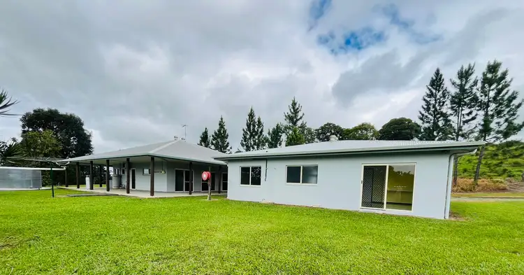 Fifth view of Homely rural property listing, 1297 Mossman - Mt Molloy Road, Julatten QLD 4871