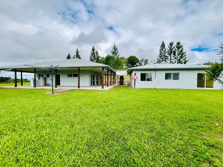Seventh view of Homely rural property listing, 1297 Mossman - Mt Molloy Road, Julatten QLD 4871