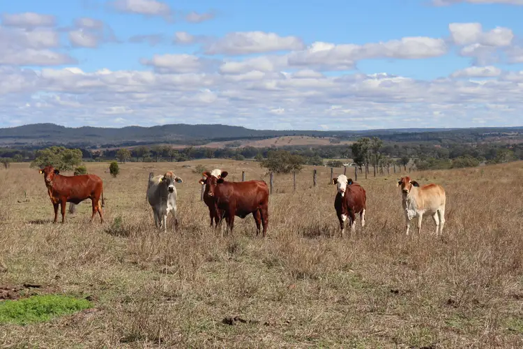 Main view of Homely rural property listing, 95 Monto-Mount Perry Road, Tellebang QLD 4630