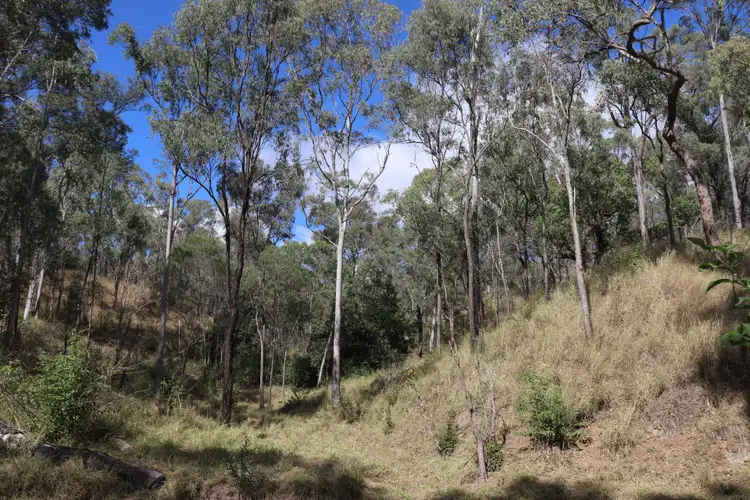 Sixth view of Homely rural property listing, 95 Monto-Mount Perry Road, Tellebang QLD 4630