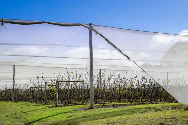 Third view of Homely rural property listing, 211 Sandy Creek Road, Grantham QLD 4347