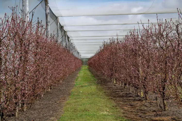 Fifth view of Homely rural property listing, 211 Sandy Creek Road, Grantham QLD 4347