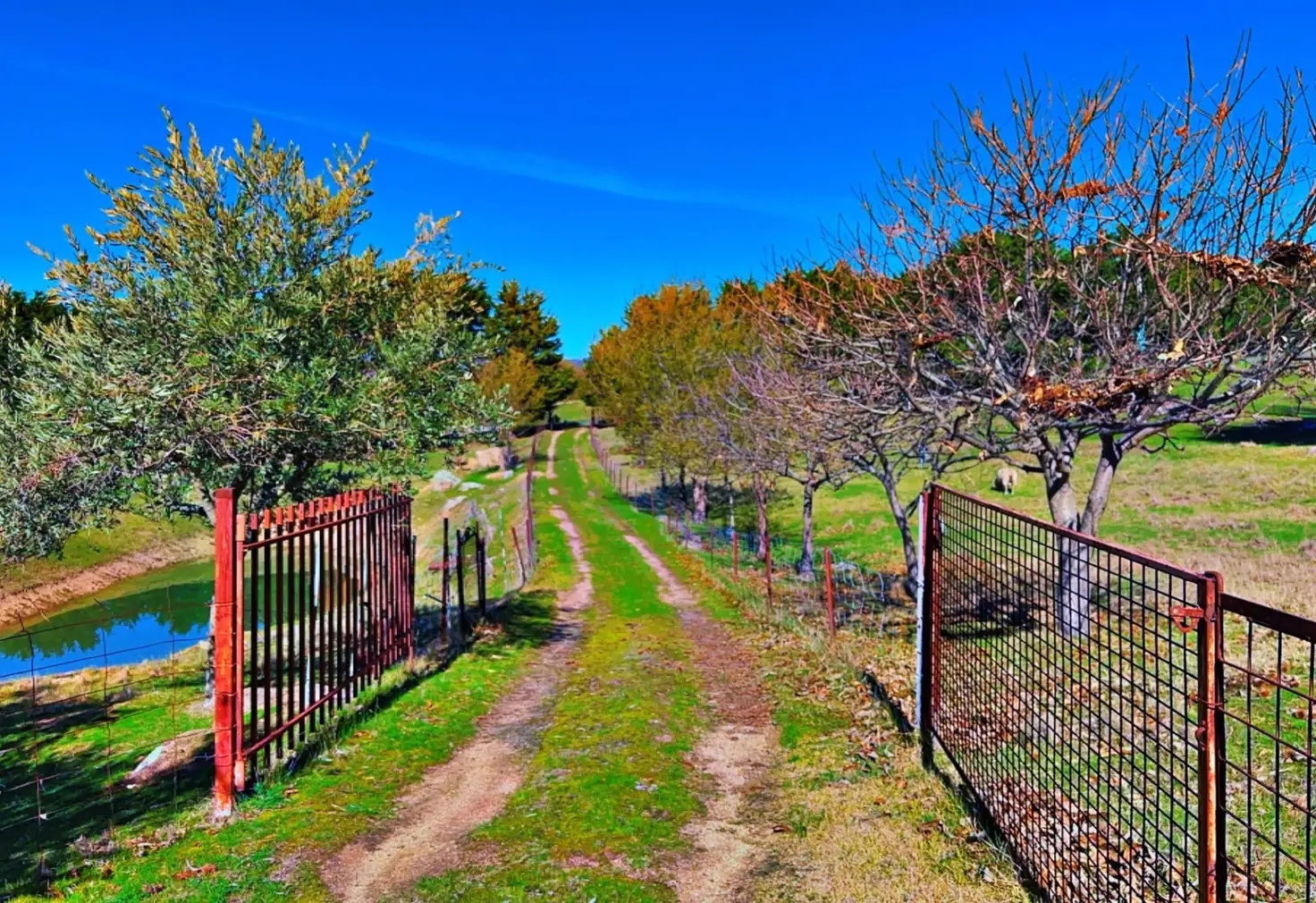 Main view of Homely rural property listing, 5 Whalan Court, Pyalong VIC 3521