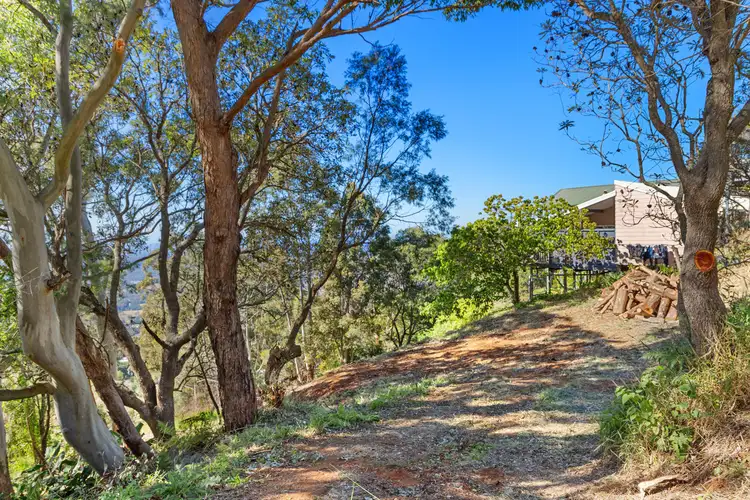 Second view of Homely land listing, 147 Guanaba Road, Tamborine Mountain QLD 4272