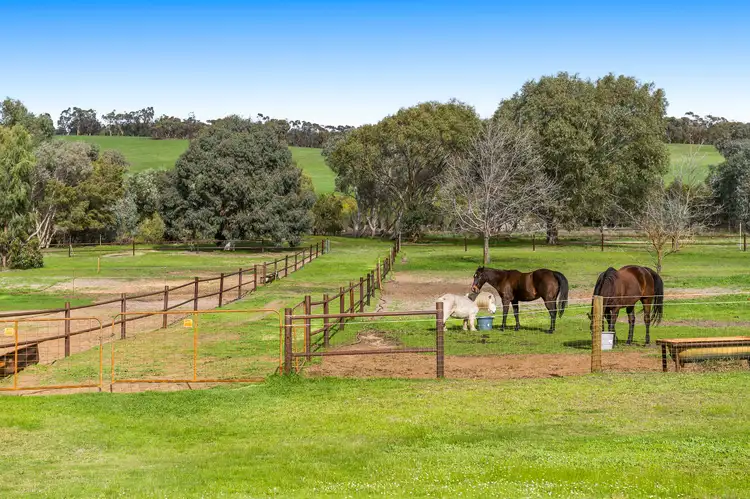 Third view of Homely house listing, 81 Patens Drive, Lower Chittering WA 6084