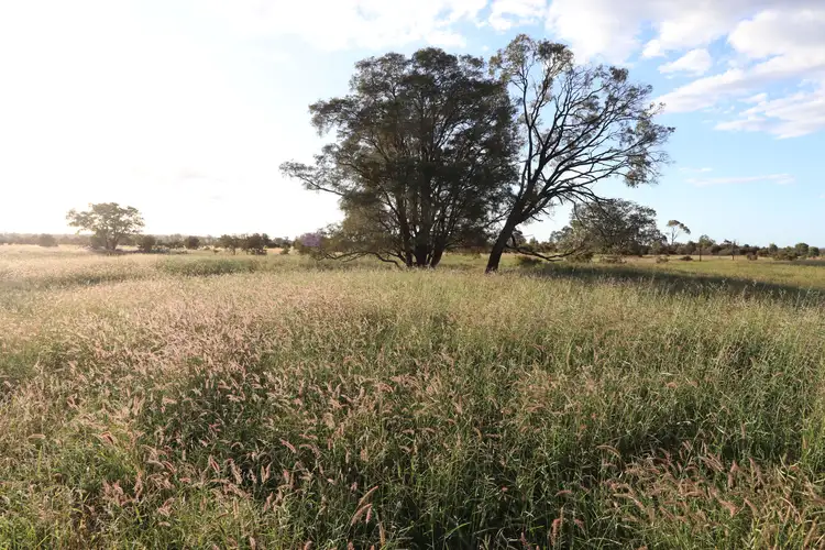 Main view of Homely rural property listing, 0 Bishop Road, Garnant QLD 4702