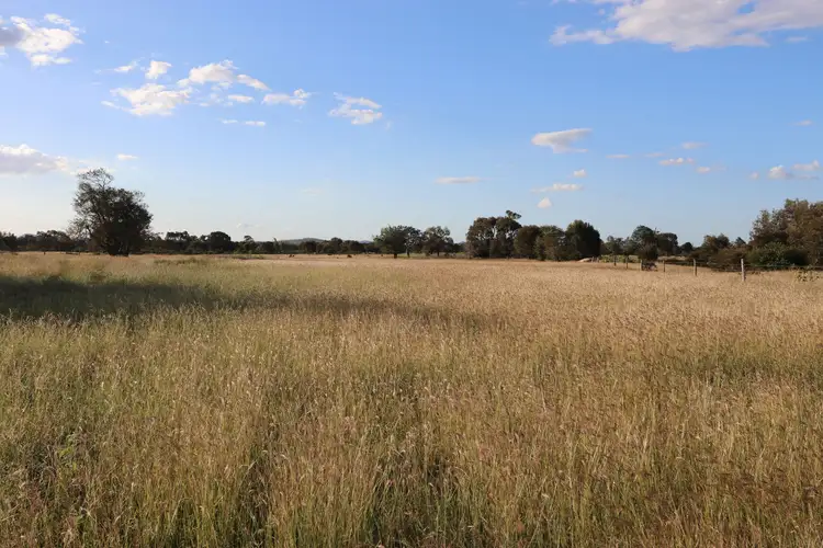 Second view of Homely rural property listing, 0 Bishop Road, Garnant QLD 4702