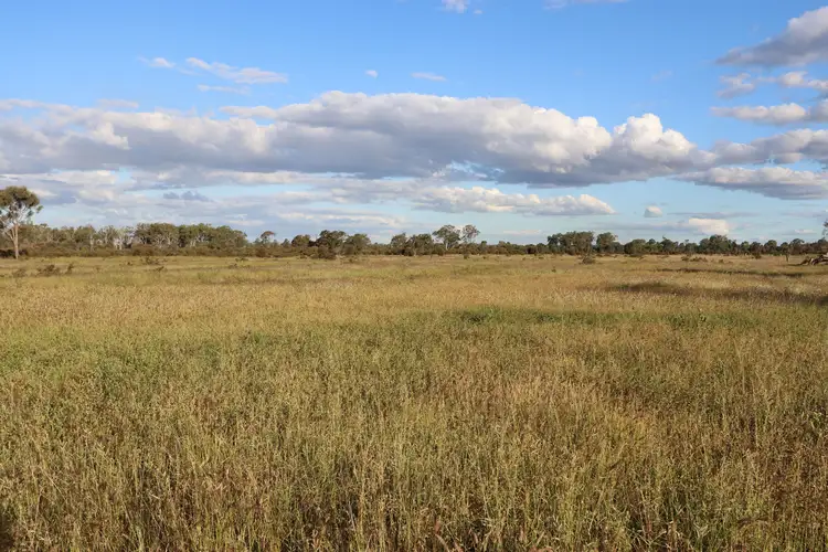 Third view of Homely rural property listing, 0 Bishop Road, Garnant QLD 4702