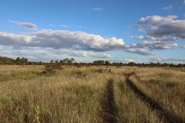 Fourth view of Homely rural property listing, 0 Bishop Road, Garnant QLD 4702