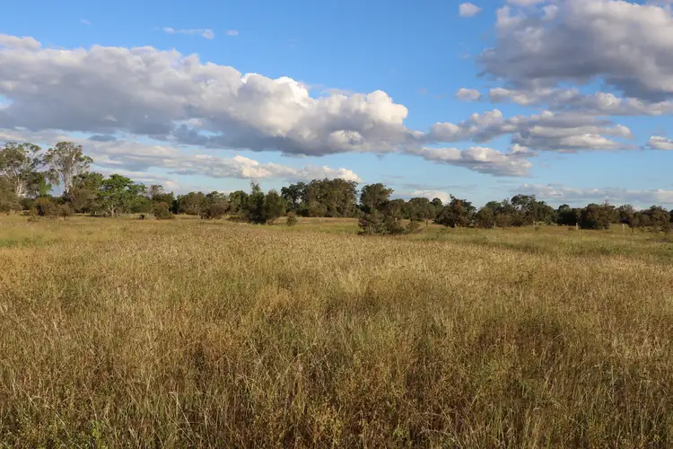 Fifth view of Homely rural property listing, 0 Bishop Road, Garnant QLD 4702