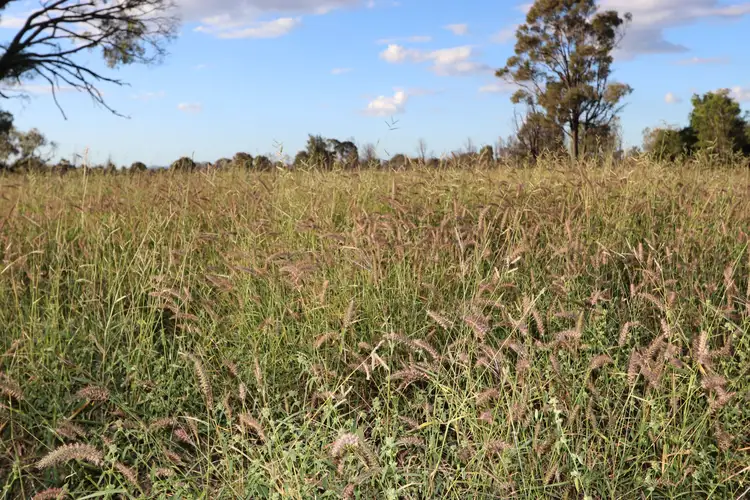 Sixth view of Homely rural property listing, 0 Bishop Road, Garnant QLD 4702