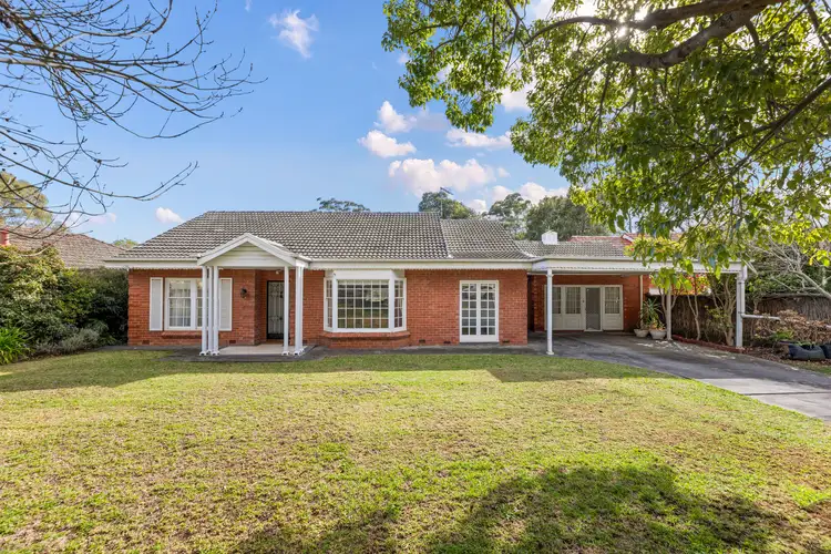 13 Greenwood Grove, Urrbrae SA 5064