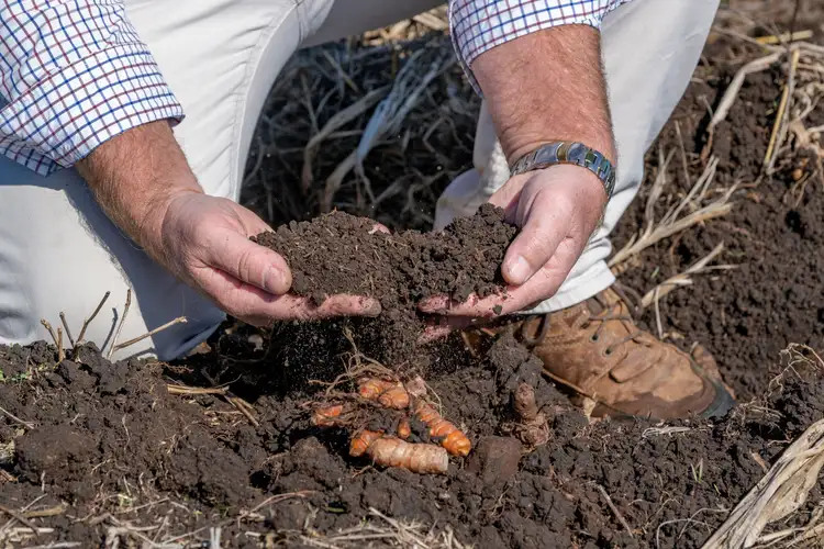 Fifth view of Homely rural property listing, 208 Oaky Creek Road, Oaky Creek QLD 4285