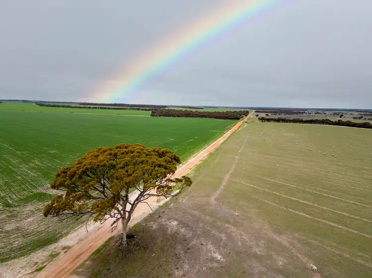 Second view of Homely rural property listing, 409 Dixon Road, Pingrup WA 6343