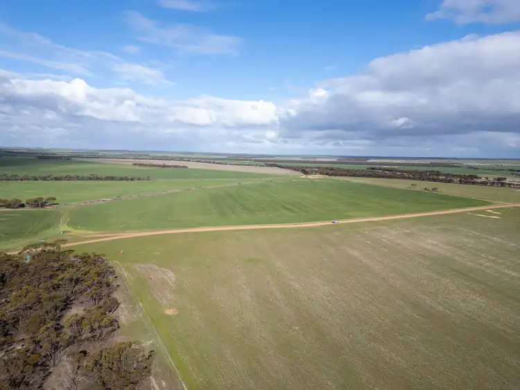 Fifth view of Homely rural property listing, 409 Dixon Road, Pingrup WA 6343