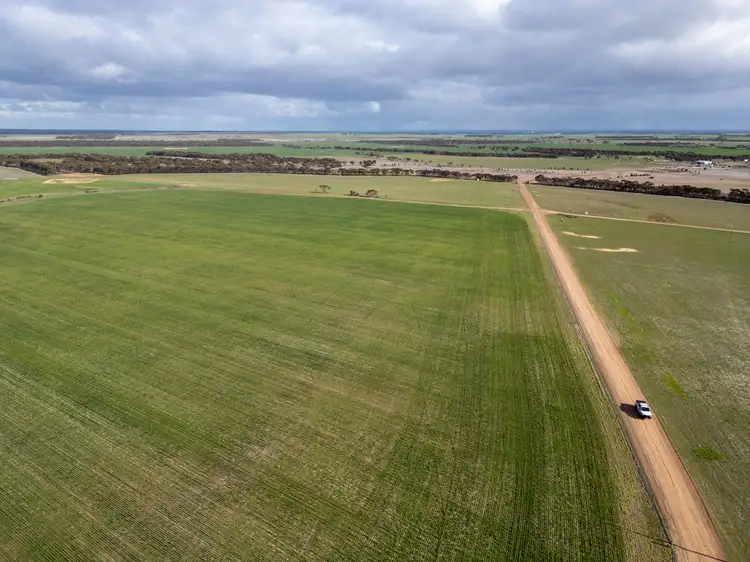 Sixth view of Homely rural property listing, 409 Dixon Road, Pingrup WA 6343