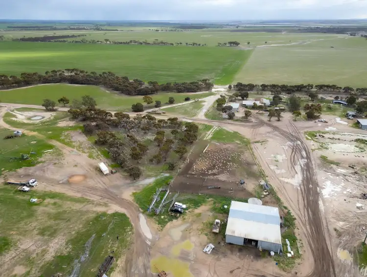 Seventh view of Homely rural property listing, 409 Dixon Road, Pingrup WA 6343