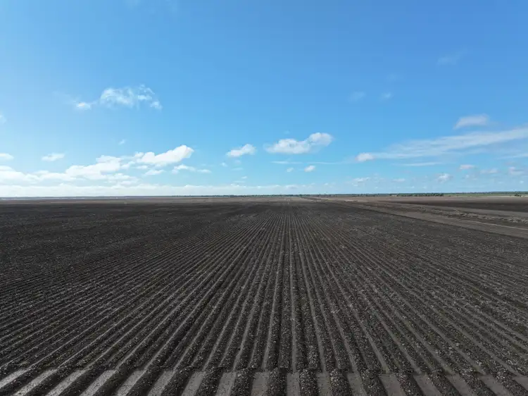 Third view of Homely rural property listing, 409 Donohoe Road, Emerald QLD 4720