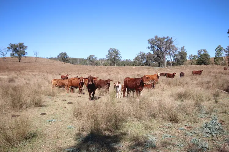 'Beeron' Beeron Road, Beeron, Mundubbera QLD 4626