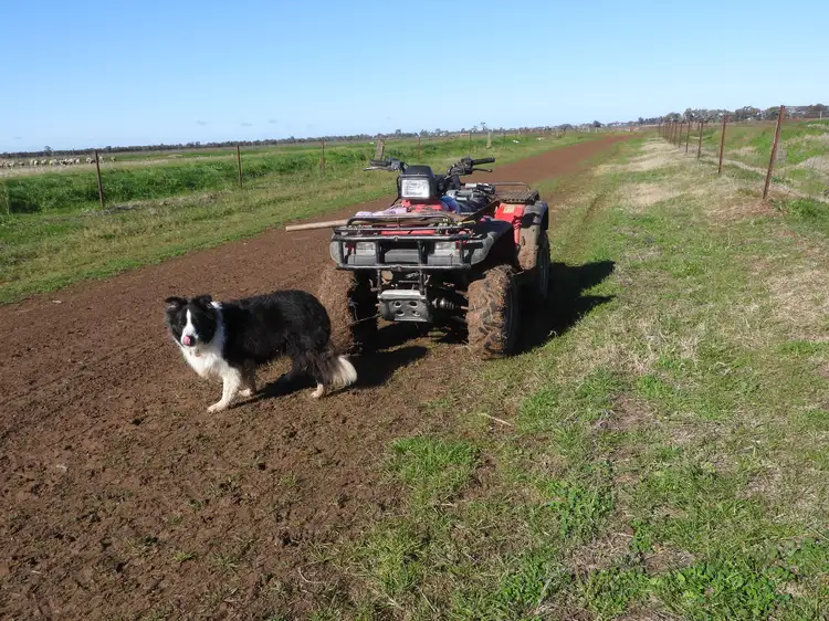 Second view of Homely rural property listing, ( Davit Farm ) Cashmere Road, Widgelli NSW 2680
