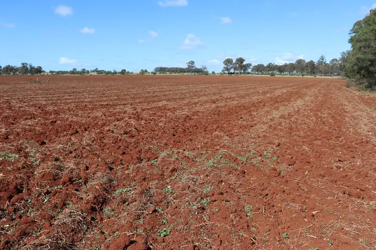Main view of Homely rural property listing, 'Whiterock' Kingaroy Cooyar Road, Kingaroy QLD 4610