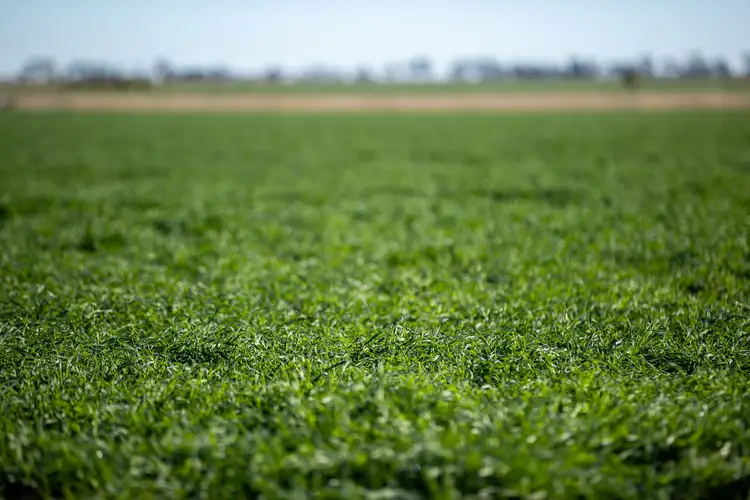 Fourth view of Homely rural property listing, "Three Oaks" 1268 Tummaville Road, Tummaville QLD 4352