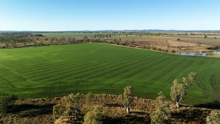 Fifth view of Homely rural property listing, "Three Oaks" 1268 Tummaville Road, Tummaville QLD 4352